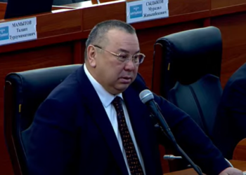 «Президентке каршы чыгып жатасың дешет». Балбак Түлөбаев министрлерди «чын тийбес» деп атады