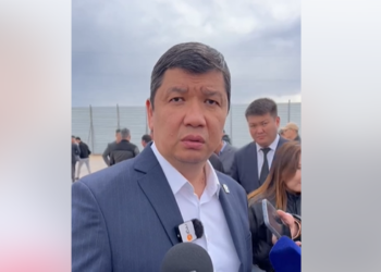 «47 гектар жерге сейил бакпы?». Мэр «Ак куланын» ордуна парк курулсун» дегендерге жооп берди