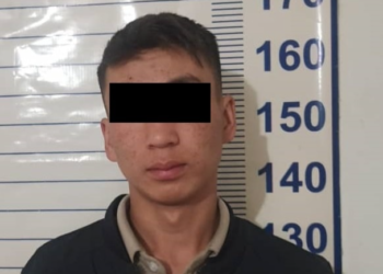 Чүйдө жөө адамды өлтүрө сүзүп, из жашырган айдоочу кармалды