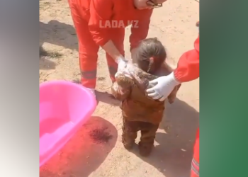 Казакстанда дааратканага түшүп кеткен 2 жаштагы кыз куткарылды (видео)