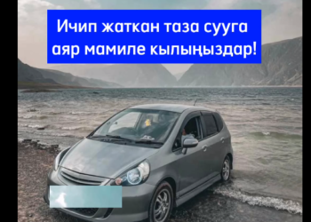 Унаасы менен Папан суу сактагычына чейин кирип кеткен дагы бир айдоочу табылды