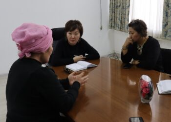 «Үйүн жери менен мэрия алган». Акыйкатчы 26 жылдан бери соттошуп келе жаткан караколдук аялдын укугун коргоого чакырды