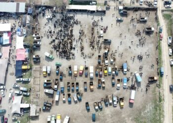 Кербен шаарындагы борбордук базар мамлекетке кайтарылды