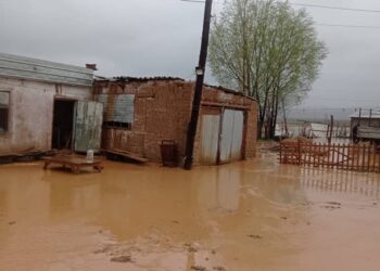 Нарын районунда сел жүрдү (видео)