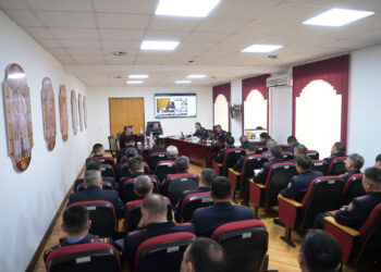 ИИМ: «87 жетекчи тартип жазасын алды»