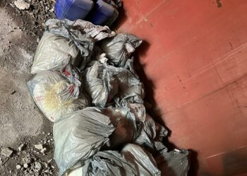 Ири өлчөмдөгү баңги заттарды сактоочу жай табылды (видео)