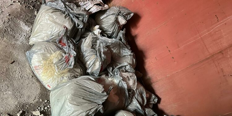 Ири өлчөмдөгү баңги заттарды сактоочу жай табылды (видео)