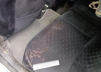 «Бычак такап, сабап…» Араванда карактоого шектүүлөр кармалды