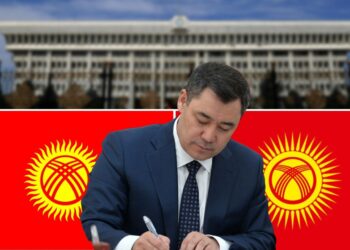 Желек боюнча элден эмне үчүн суралган жок? Өлкө башчысынын жообу