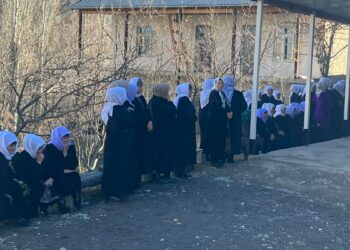 Депутат: «Бир үйдө 3-4 келин чогуу жашайт. Мунун кесепетинен суицид катталууда»