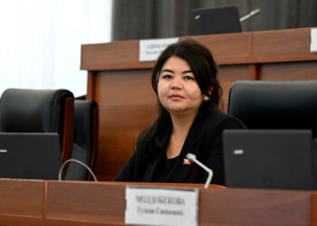 Депутат Нилуфар Алимжанова уулдуу болду