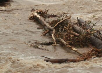 Кеминде катуу жааган жамгырдан улам сел жүрдү