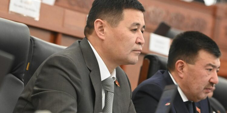 Депутат Ташиев: «Бассейндерде, көлмөлөрдө сөзсүз куткаруучу болуш керек»