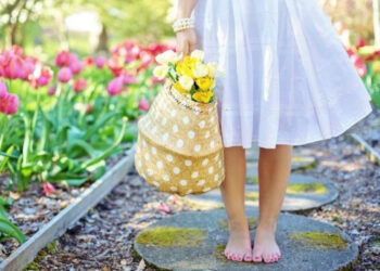 15-майга карата өлкөдө күтүлгөн аба ырайы