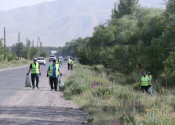 Депутат Калпаев: «Мугалимдер чоң трассанын боюн тазалап жүрүшүптүр. Токтотсок ушундайды»