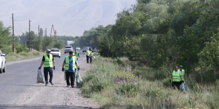 Депутат Калпаев: «Мугалимдер чоң трассанын боюн тазалап жүрүшүптүр. Токтотсок ушундайды»