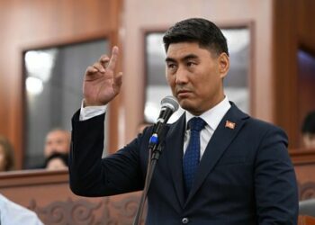 Депутат Айдарбеков аялдарга болгон зомбулук тууралуу: «Атайын жыйын өткөрбөсөк болбой калды»