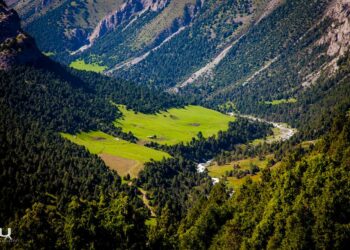 Өзбек туристи: «Кыргыз табиятынын кооздугун камера да көрсөтүп бере албайт»