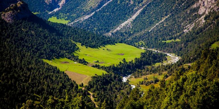 Өзбек туристи: «Кыргыз табиятынын кооздугун камера да көрсөтүп бере албайт»