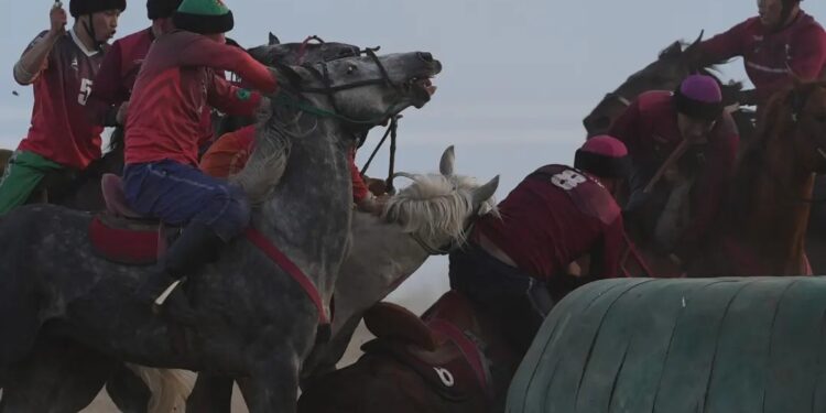 Жеңиш кубогу-2024: Көк бөрү боюнча жогорку лигада «Достук» 3-орунду ээледи
