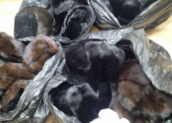 Базардан 93 тумак уурдалган. Шектүү кармалып, тумактын 83ү табылып алынды