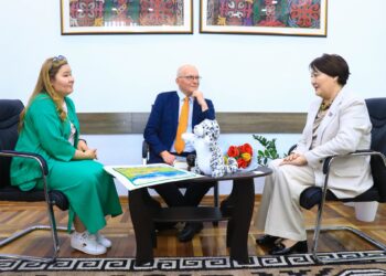 Министр дүйнөлүк алдыңкы эксперт менен Кыргызстан менен Финляндиянын мектептик билим берүү системасын талкуулашты