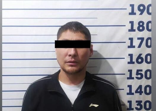 Бишкекте күч колдонуп, уюлдук телефонун тартып алганга шектүү кармалды