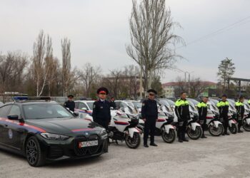 Соңку апта ичинде мас абалында 319 айдоочу аныкталды