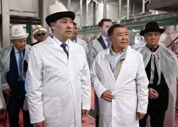 Балыкчыда этти кайра иштетүү боюнча «Дордой Балыкчы» заводу ачылды