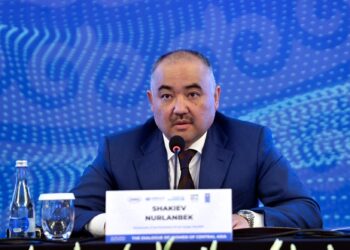 Шакиев: «Кандай гана тармак болбосун аялдардын салымы чоң»