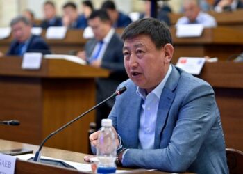 Депутат Түмөнбаев: «Сүттүн баасын көтөрүү кажет, анткени айылда мал кармоо өзүн-өзү актабай жатат»