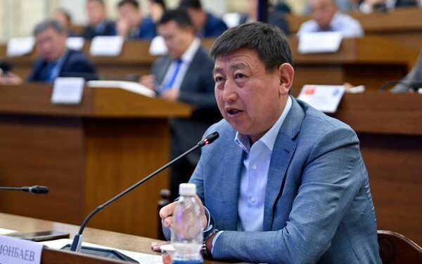 Депутат Түмөнбаев: «Сүттүн баасын көтөрүү кажет, анткени айылда мал кармоо өзүн-өзү актабай жатат»