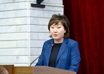 Жогорку Кеңештин тармактык комитетинде Акыйкатчынын баяндамасы угулду