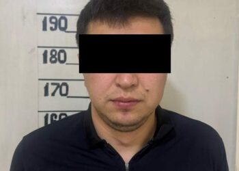 Ошто 9 миңден ашык жасалма доллар сатууга аракет кылган жаран кармалды