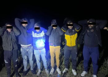 Чек араны мыйзамсыз кесип өтүүгө аракет кылган чет элдик жарандар кармалды