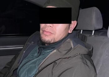 Түрмөгө эки брикет гашиш өткөрүүгө аракет кылган жаран кармалды