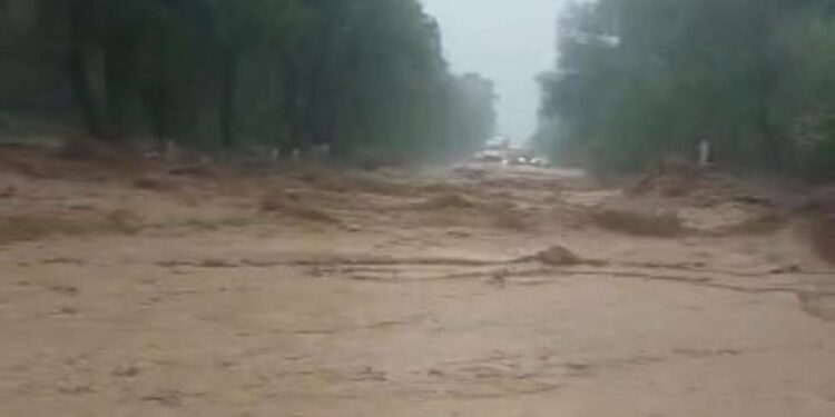 Ошто Ак-Буура дарыясынан аял кишинин сөөгүн алып чыгышты