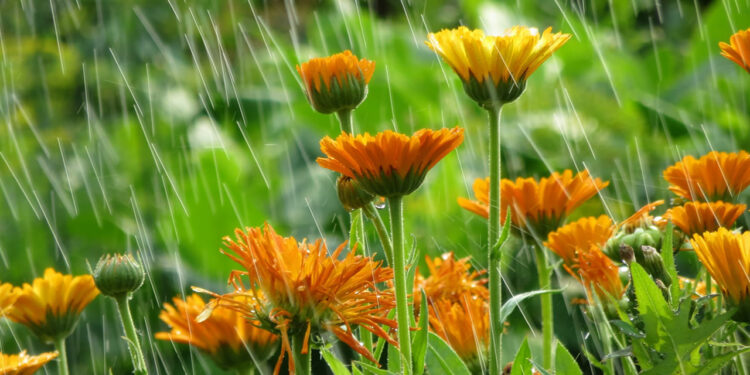 11-майга карата өлкөдө күтүлгөн аба ырайы