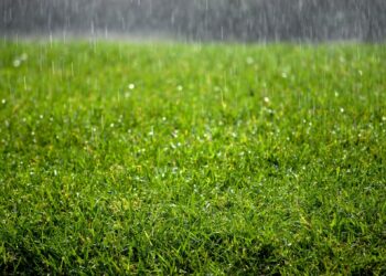 17-майга карата өлкөдө күтүлгөн аба ырайы