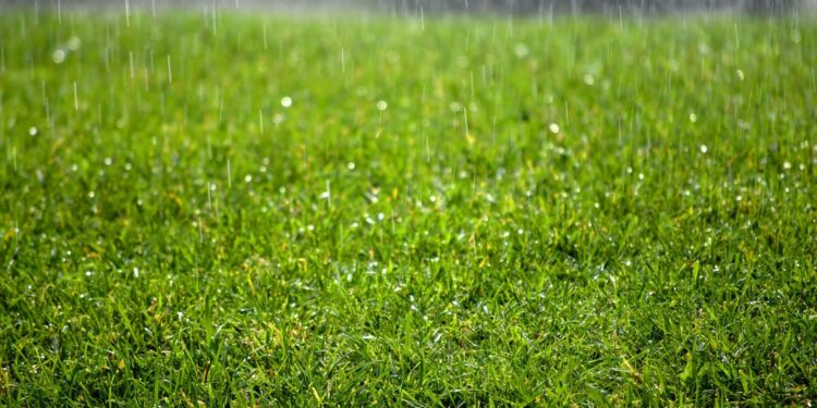 17-майга карата өлкөдө күтүлгөн аба ырайы