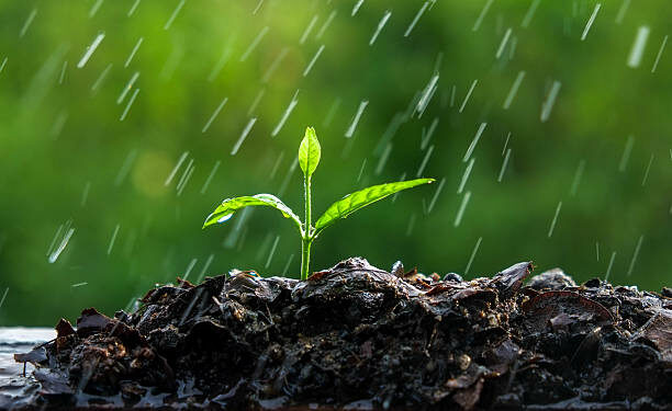 23-майга карата өлкөдө күтүлгөн аба ырайы