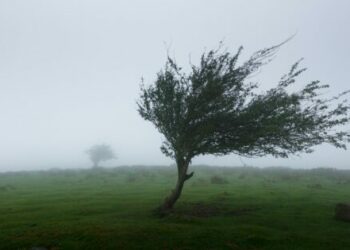 Саат 15:00дөн тартып Бишкек жана Чүйдө күн күркүрөп, катуу шамал катталышы күтүлөт