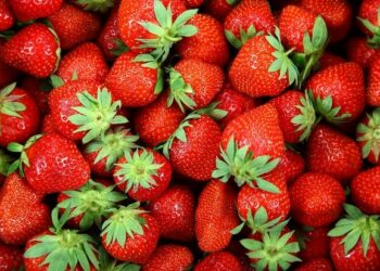 Депутат: «Биз өстүргөн кулпунайдын баасы түшүп жатат»