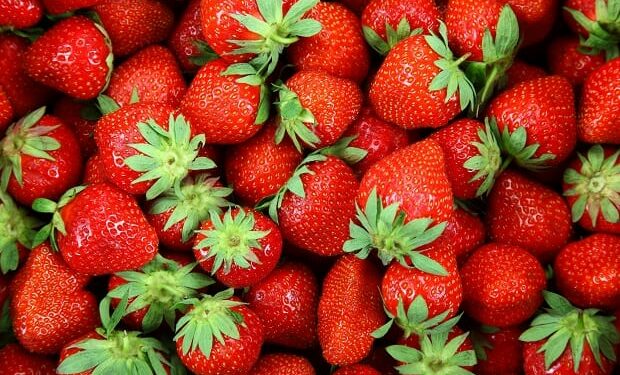 Депутат: «Биз өстүргөн кулпунайдын баасы түшүп жатат»