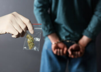 Нарын облусунун тургундары баңги заттарды мыйзамсыз жүгүртүү фактысы боюнча кармалды