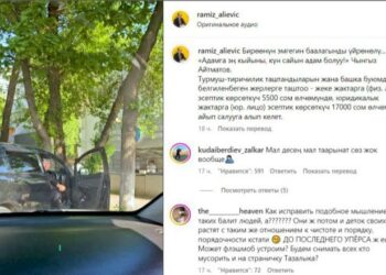 Бишкектин вице-мэри Рамиз Алиев семичке чагып отурган жарандын видеосун жарыялады