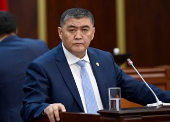 УКМКнын төрагасы: «Сагызган дагы бир көргүсү келип калса керек»