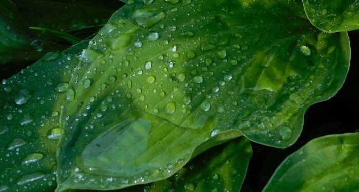 29-июнга карата өлкөдө күтүлгөн аба ырайы