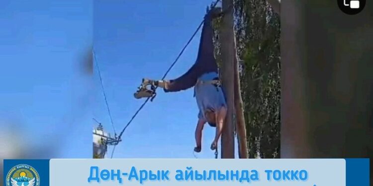 Министрлик: Дөң-Арык айылында токко урунган адам энергетик эмес
