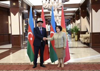 Шакиев Азербайжандын Милли Межлисинин төрайымы менен жолугушту